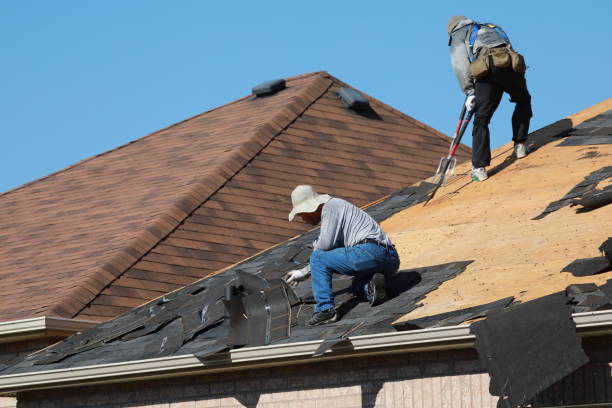 Best Roof Restoration  in USA